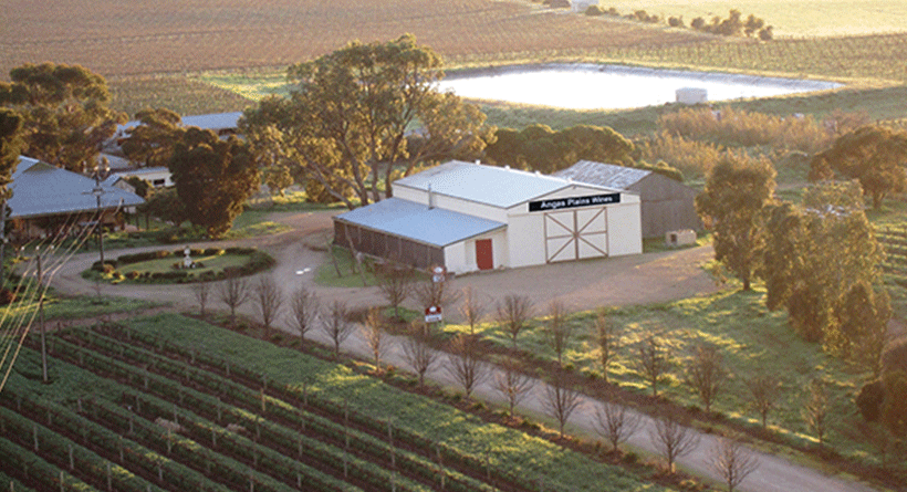 Angas Plains Estate Vineyard